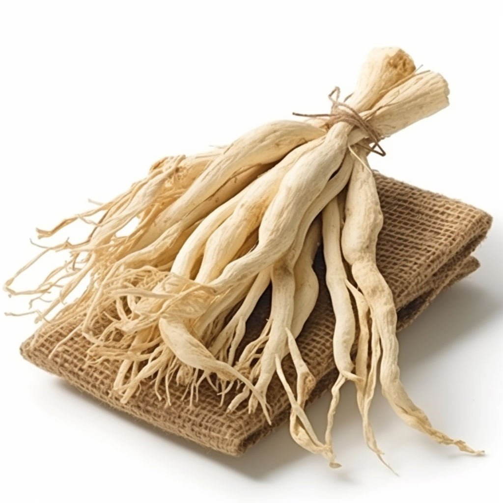 White Korean Ginseng