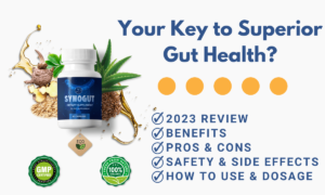 Synogut Review